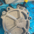 MECHANICAL-VACUUM-PUMP-SEE-AA-MULTIPLE-POSSIBLE-SUPPLIERS-GEOMETRIC-DIFFERENCES-ARE-TO-BE-CONSIDERED-SU001-A9504_su001-a9504_01-e82ff48e0b028560d427fd88f1b5ef1b.png